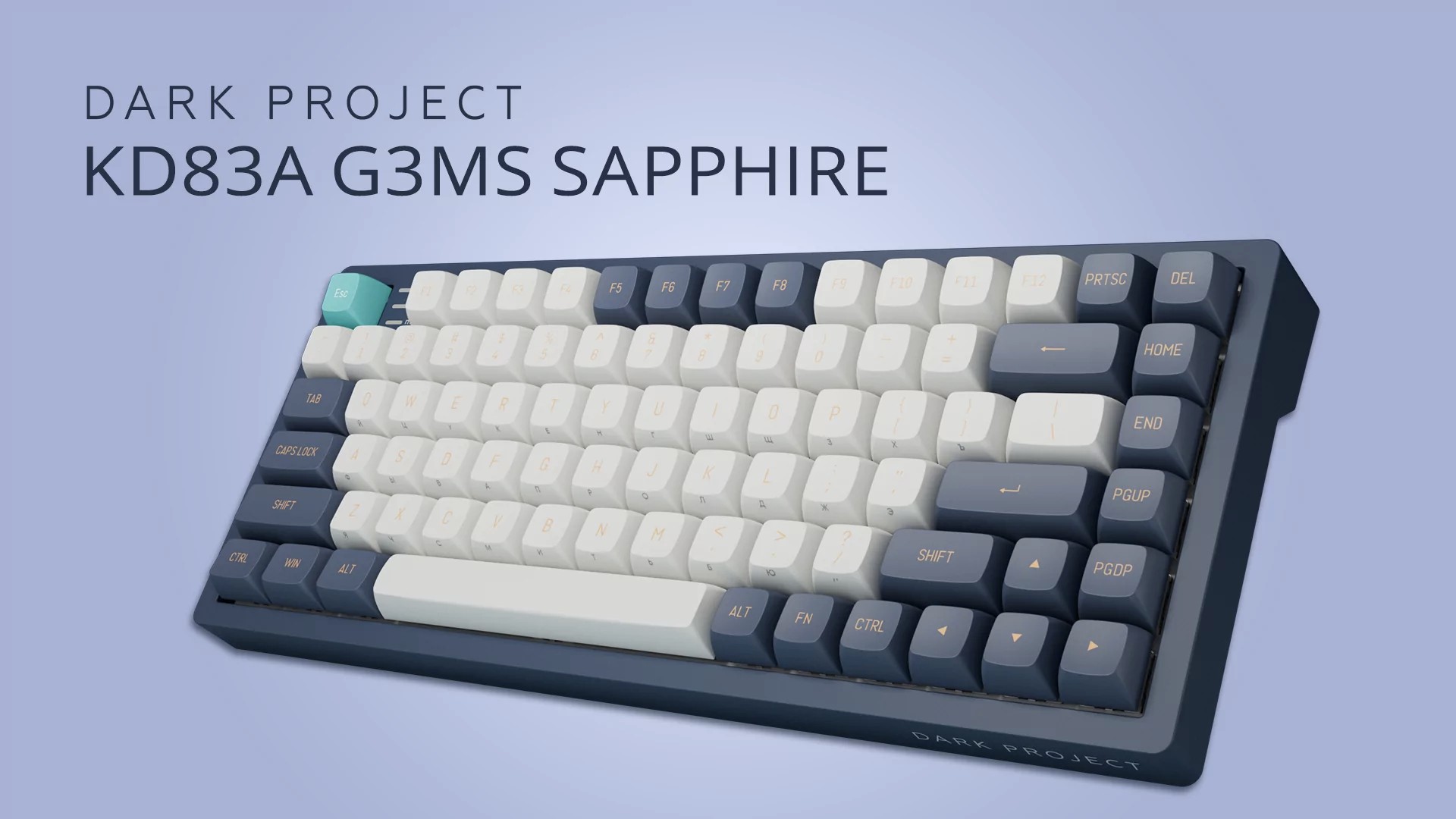 KD83A g3ms Sapphire