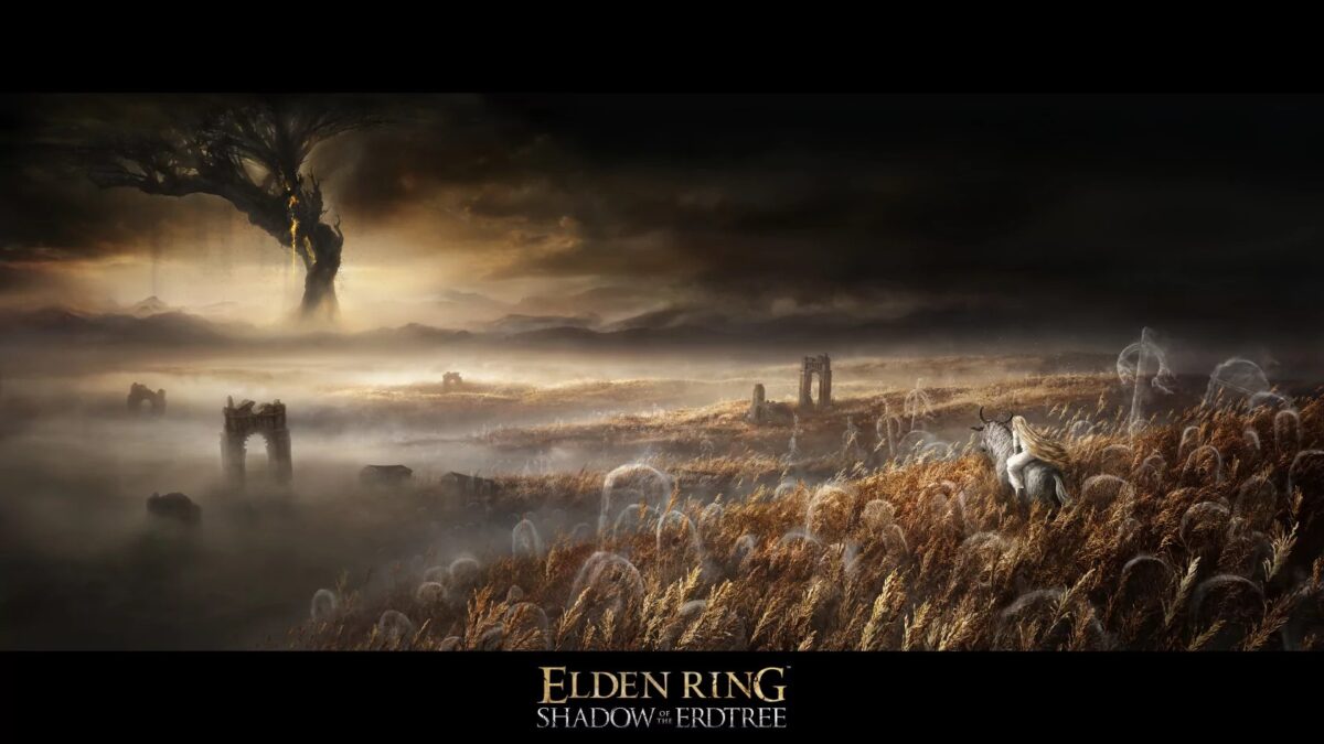 However, fans are satisfied with this development and are quite willing to pay for the add-on if it is interesting.