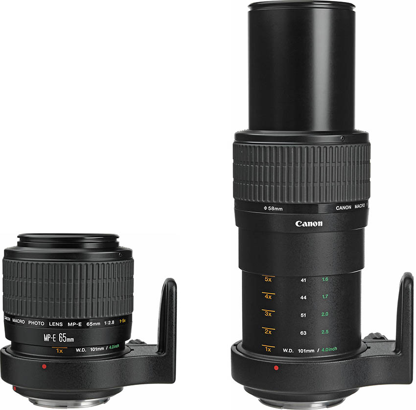 Canon MP-E 65mm f/2.8 1x-5x