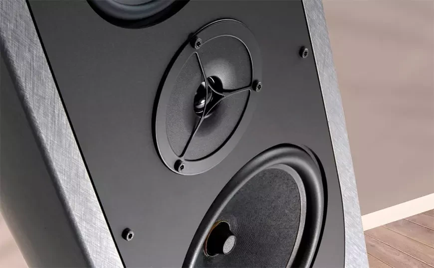 Speaker systems Rega Aya