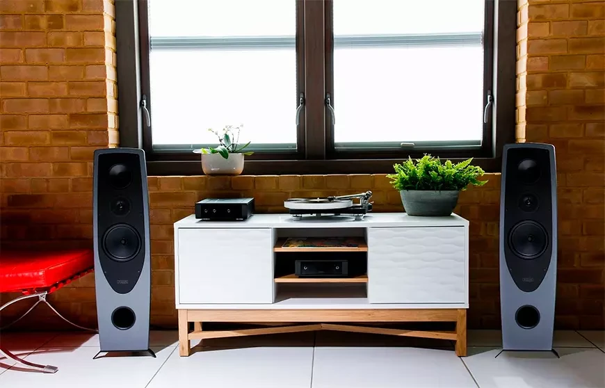 Speaker systems Rega Aya