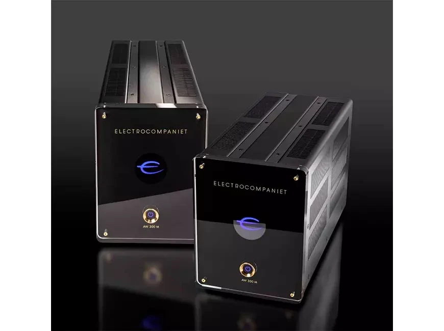 Electrocompaniet AW 300 M monophonic power amplifier