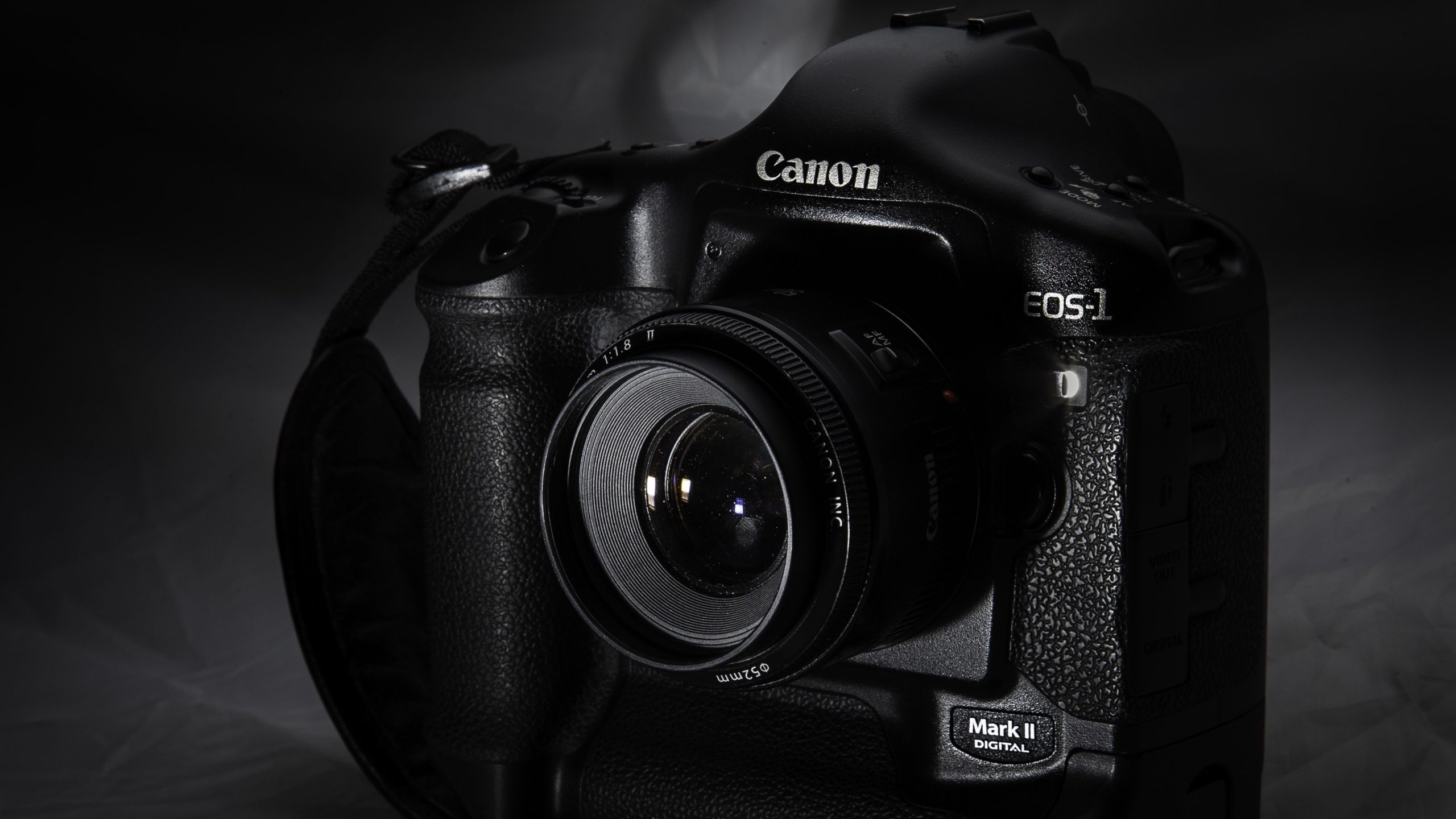 Canon Quad Pixel AF coming to EOS R1 and EOS R5II