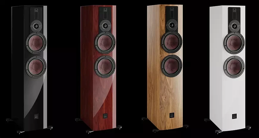 Speaker systems DALI Rubikore 6