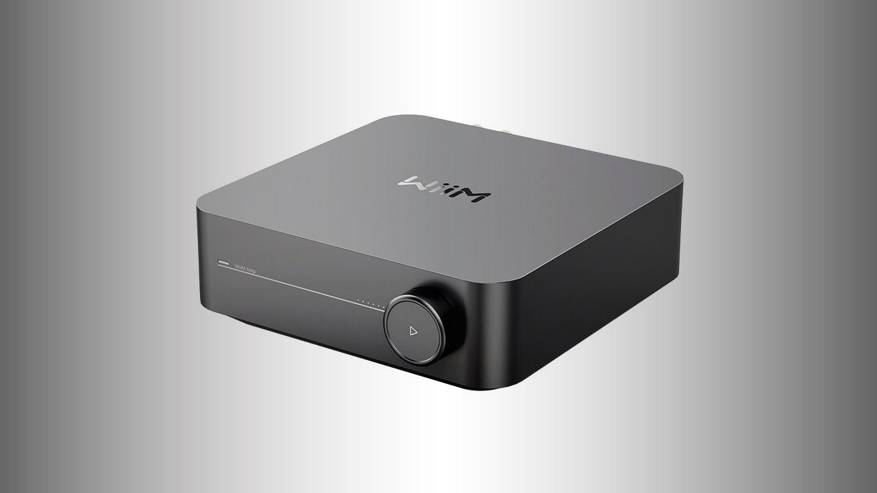 Wiim Amp: Versatile network integrated amplifier 7 Wiim Amp