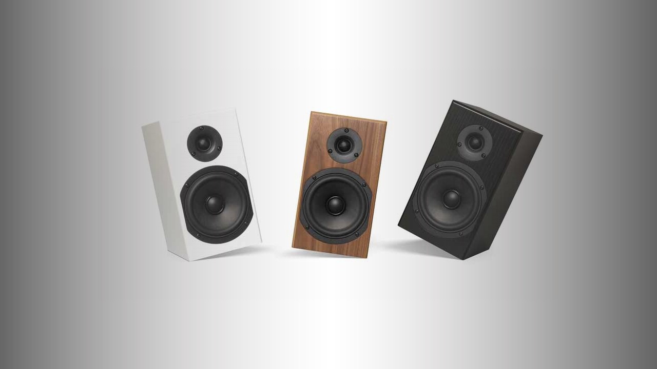 Totem Acoustic Loon