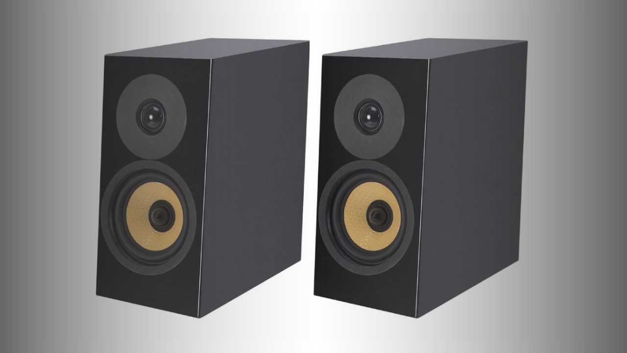 Davis Acoustics Courbet No.3: Driven and dynamic bookshelf speakers 7 Davis Acoustics Courbet No.3