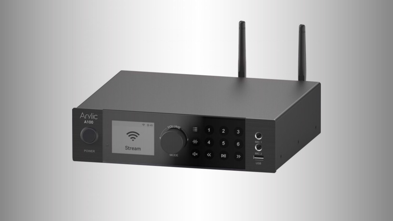 Arylic A100