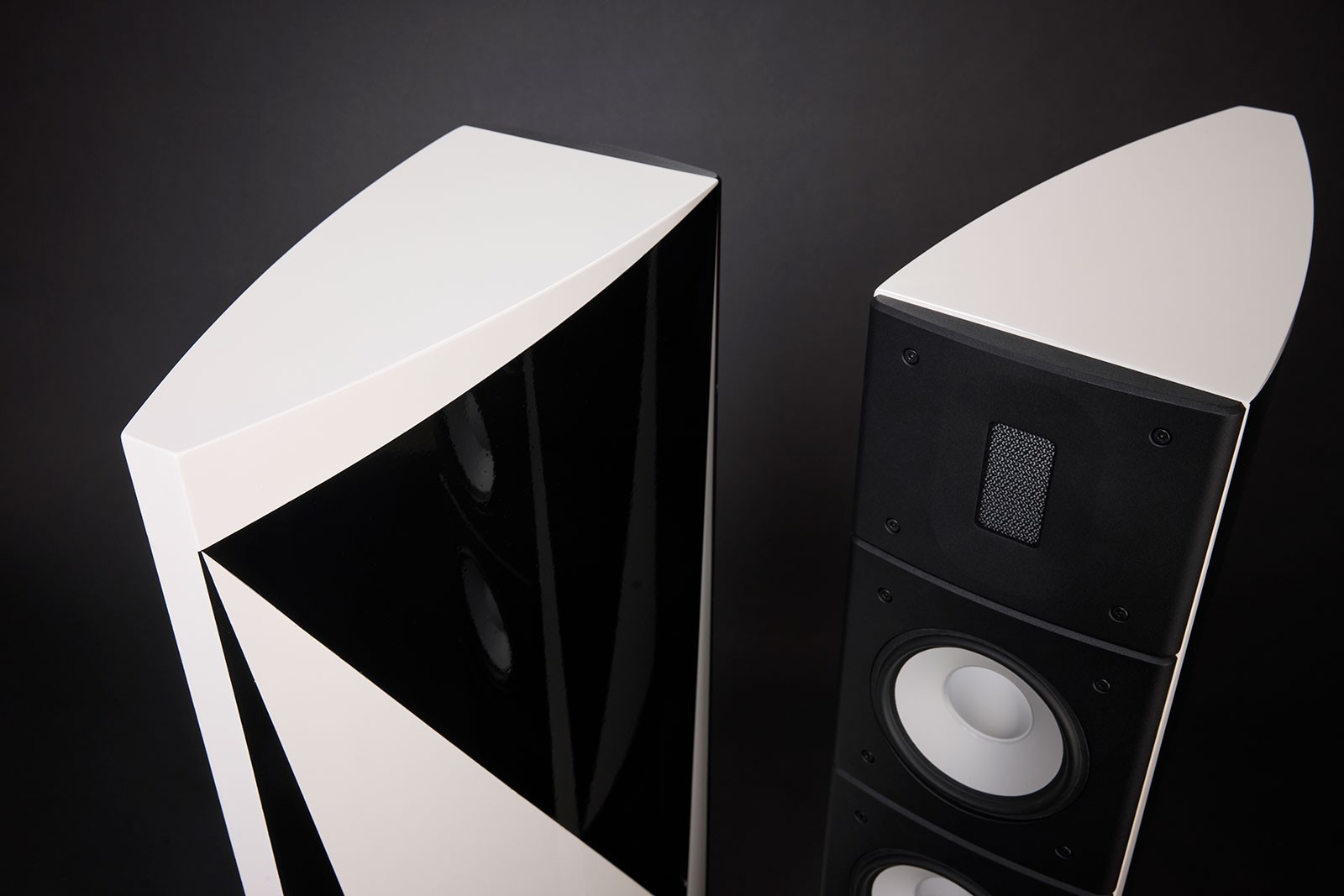 Raidho Acoustics Unveils DSP-Powered, Diamond-Driver Subwoofers and Flagship Floorstanders 32 Raidho Acoustics Unveils DSP-Powered, Diamond-Driver Subwoofers and Flagship Floorstanders