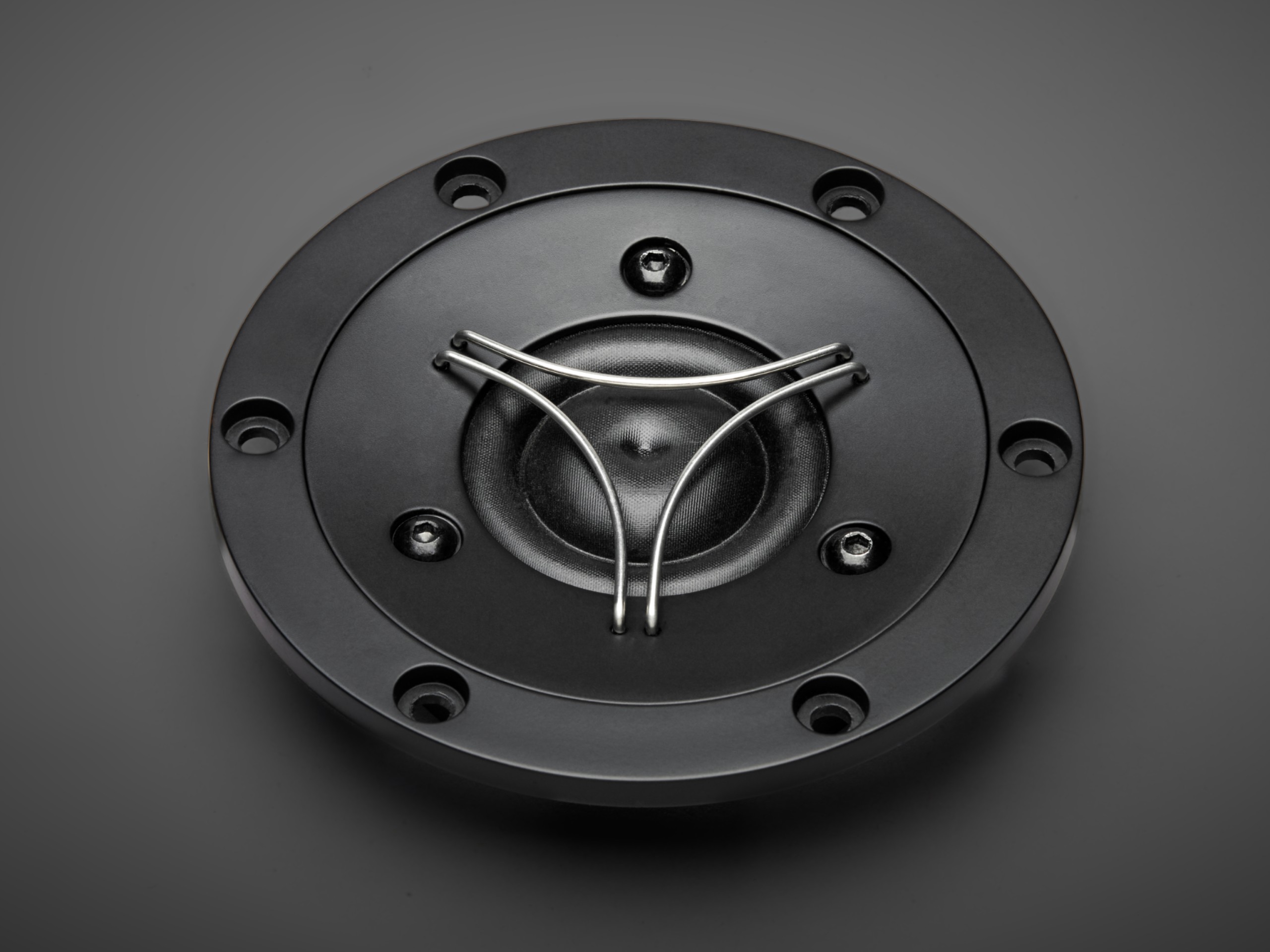SV-Audio Astrid: Stunning New Line Source Loudspeaker for Serious Audiophiles 12 Pasted 54